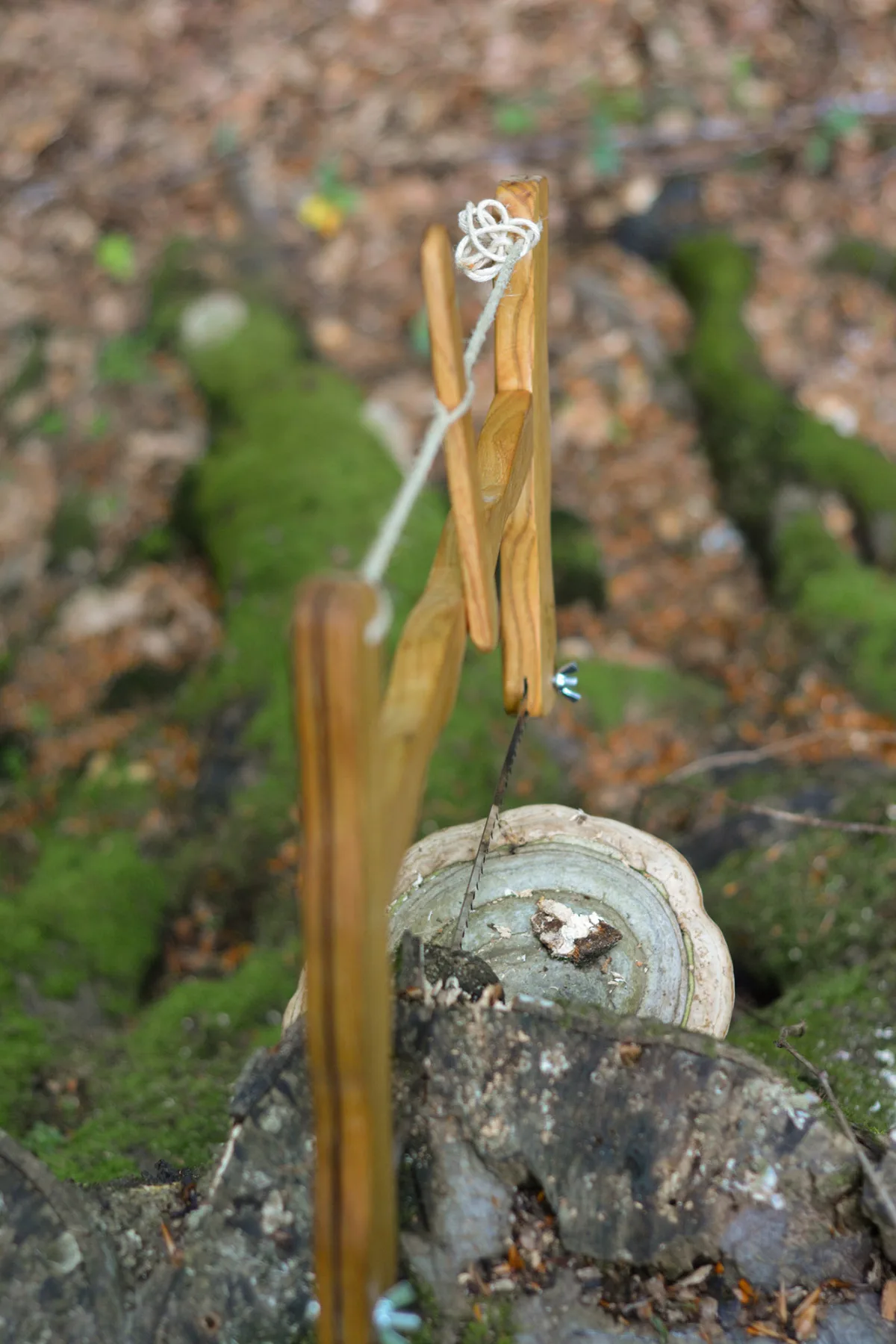 Såg Bow Saw