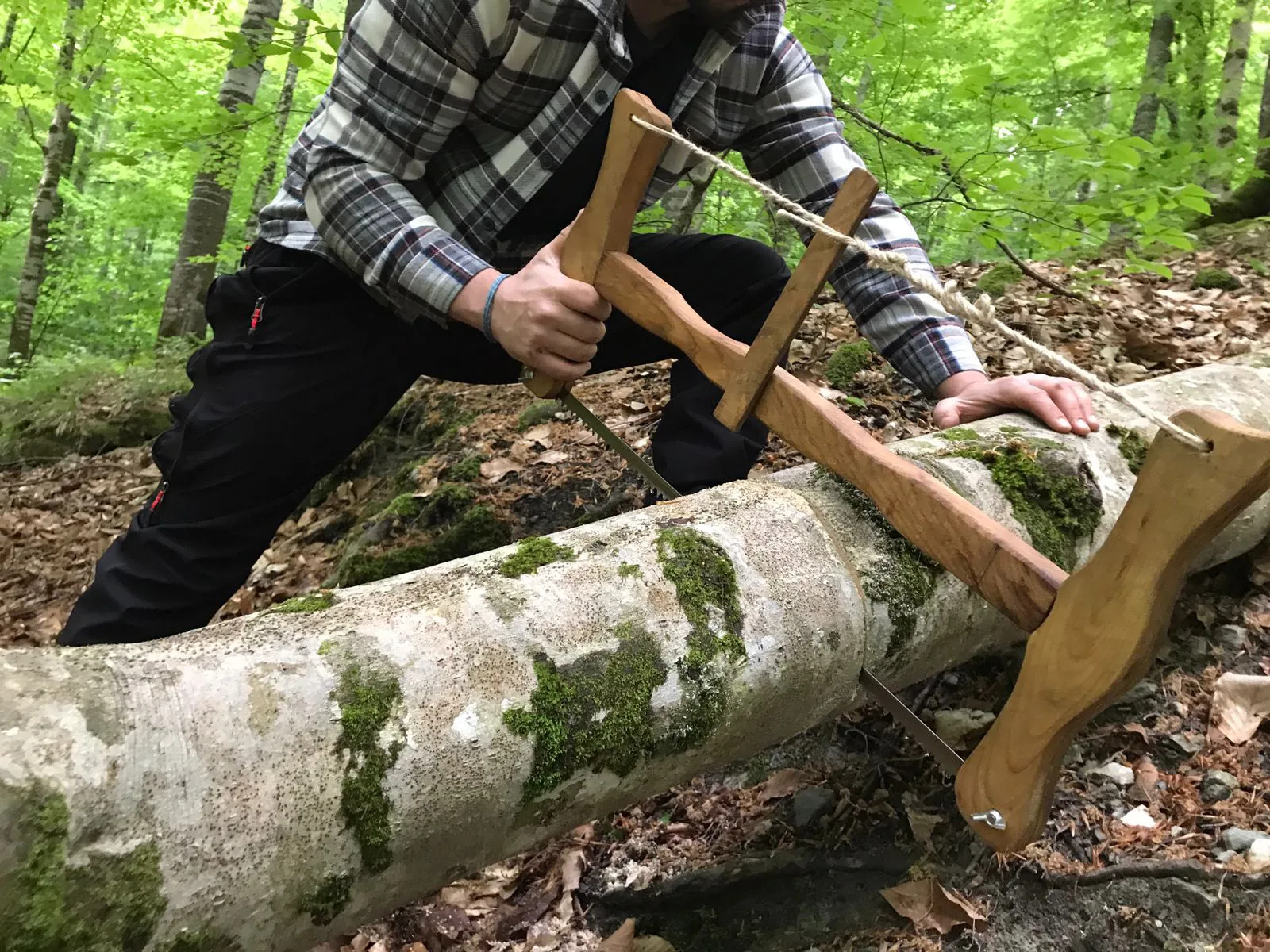Såg Bow Saw